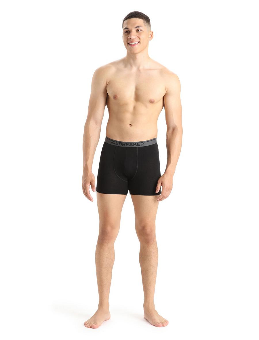 Black Icebreaker Merino Anatomica Boxers Men's Underwear | AU 1317NWYB